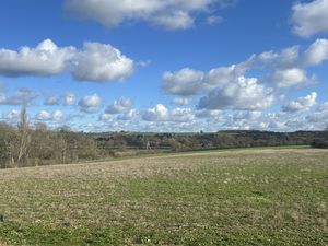 Photo 11- click for photo gallery